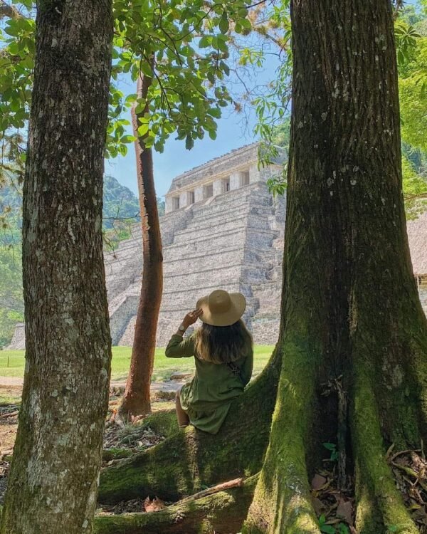 SELVA CHIAPAS 7 DÍAS