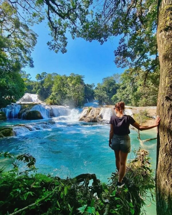SELVA CHIAPAS 7 DÍAS - Imagen 2