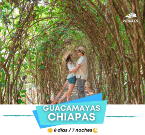 🌿 Guacamayas 8 Días