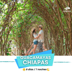🌿 Guacamayas 8 Días