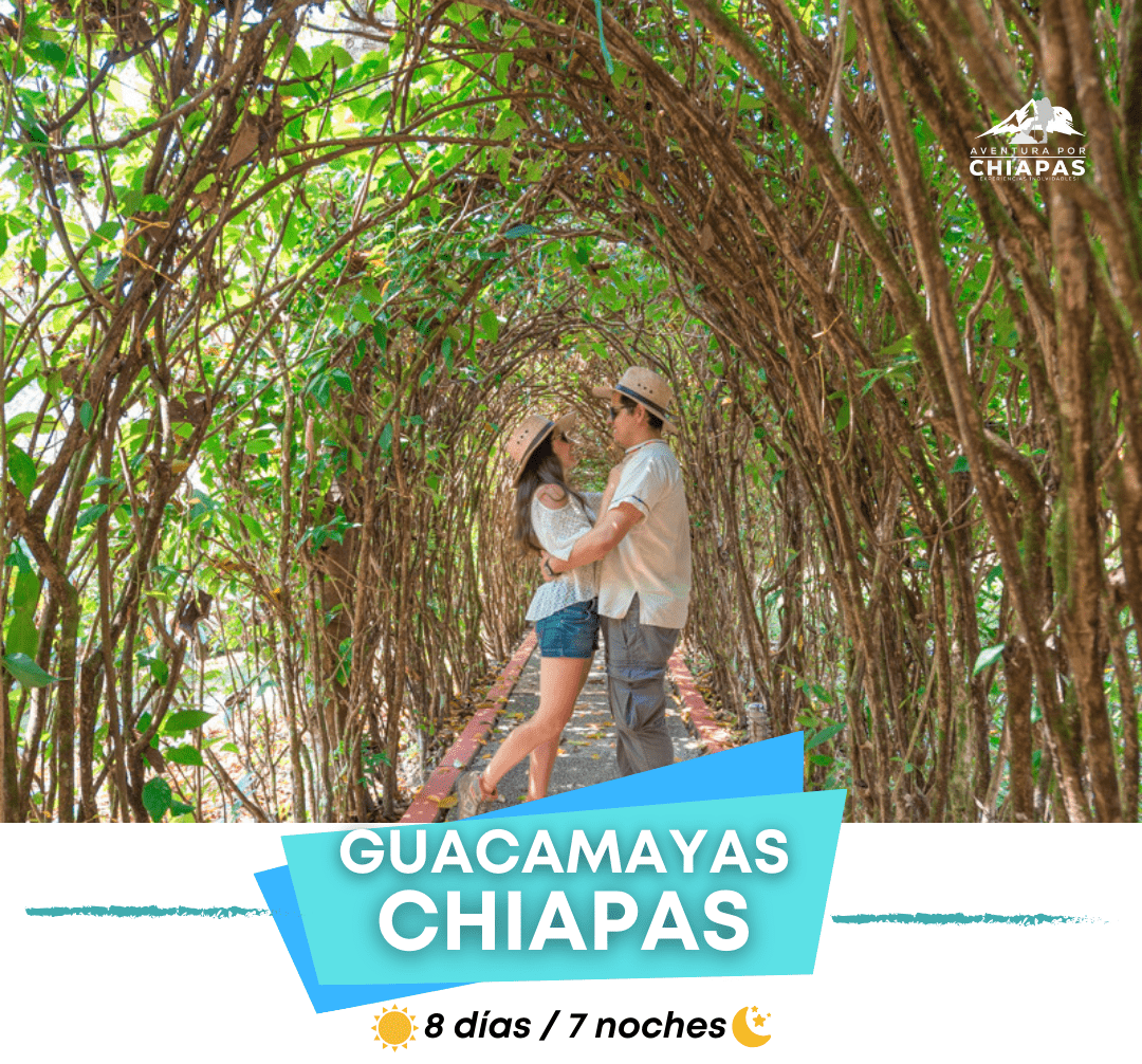 🌿 Guacamayas 8 Días