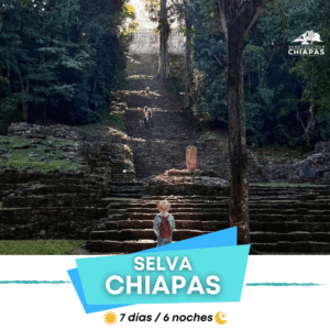🌿 Selva Chiapas 7 Días