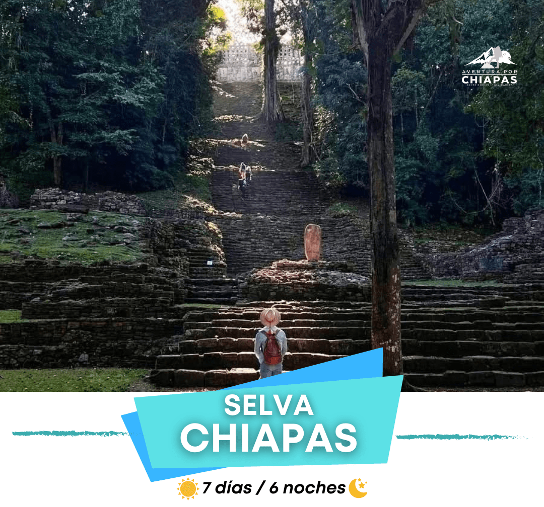 🌿 Selva Chiapas 7 Días
