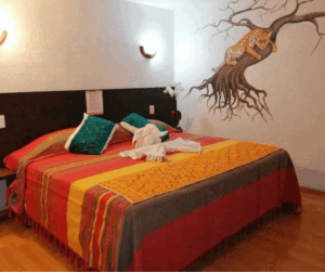 casa-nucu