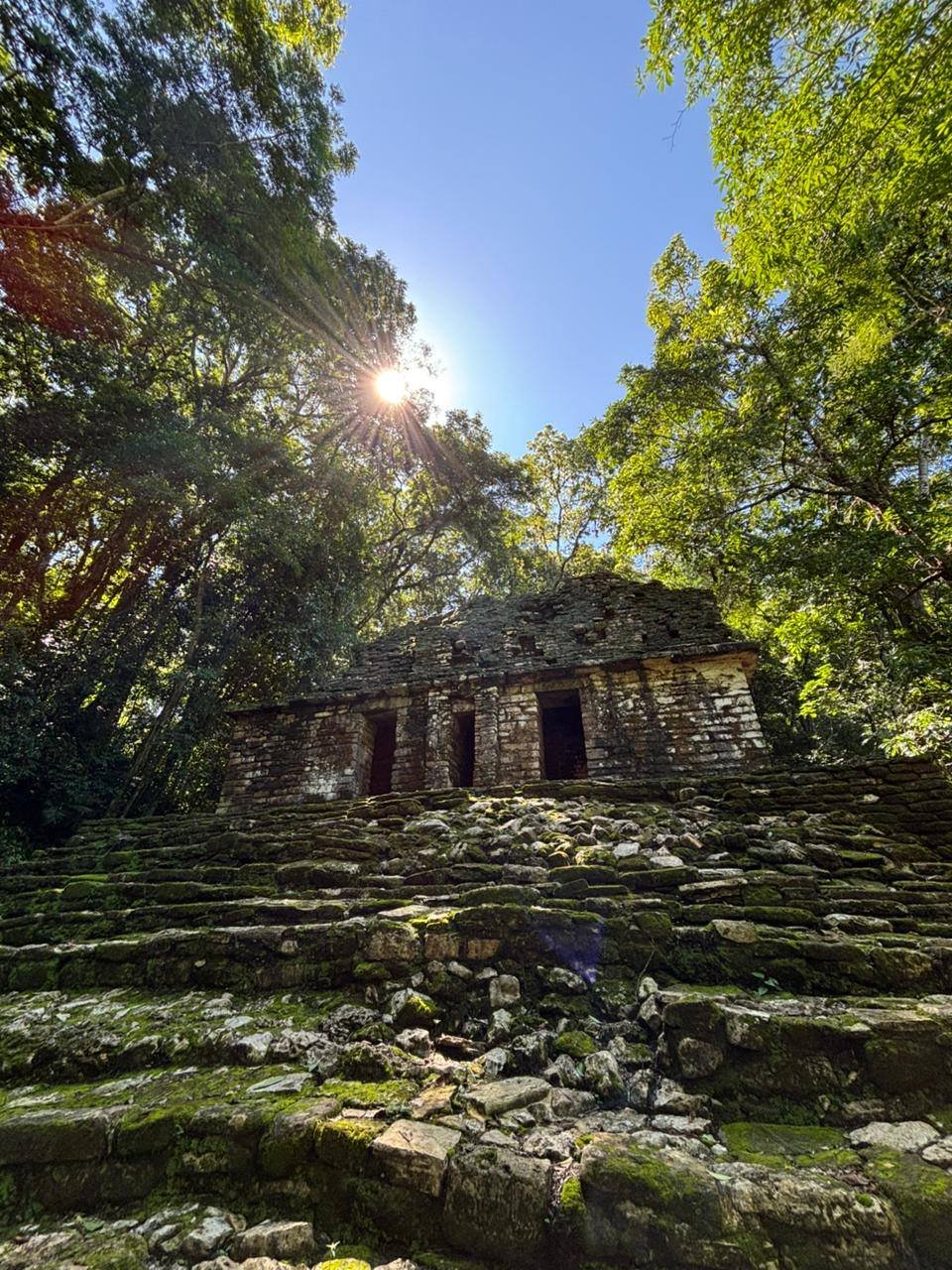 Tour: Yaxchilán + Bonampak en 1 Día. - Imagen 4
