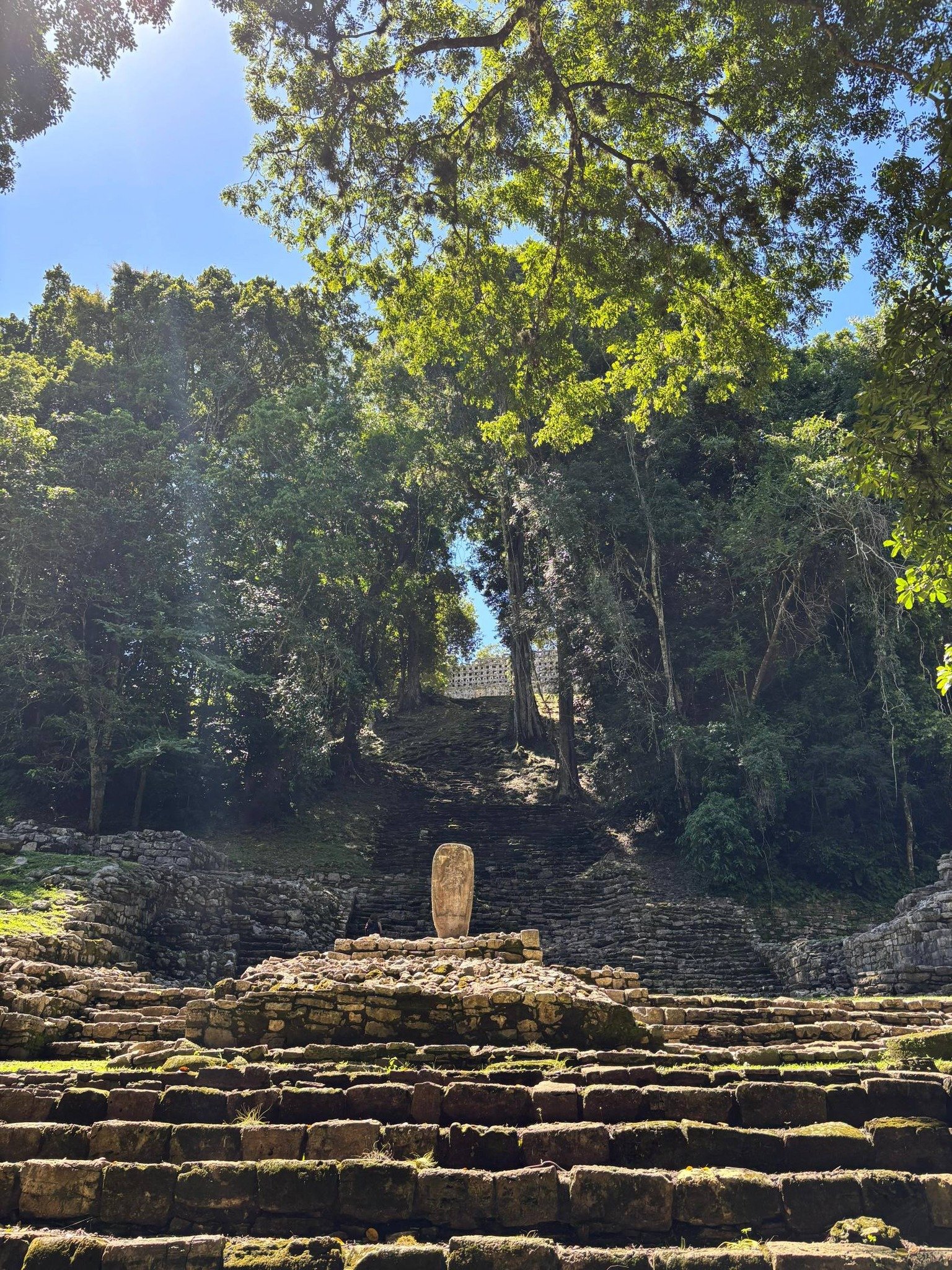 Tour: Yaxchilán + Bonampak en 1 Día. - Imagen 3