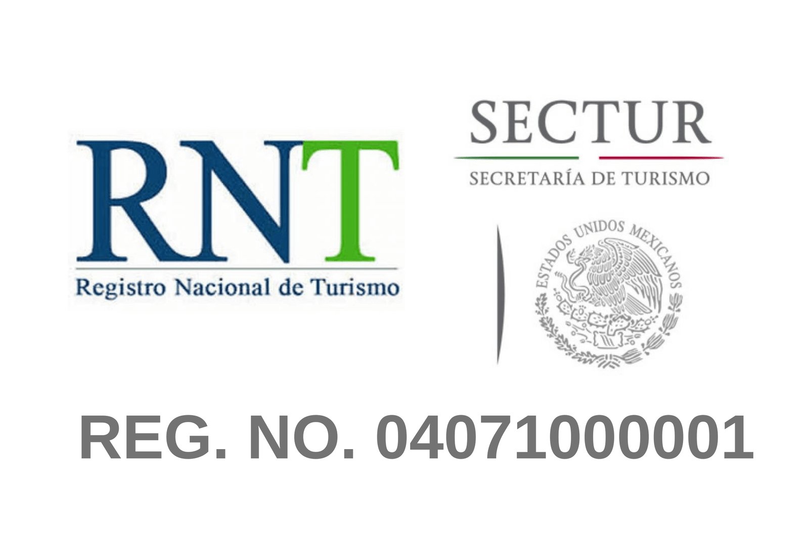 REG. NO. 04071000001-min