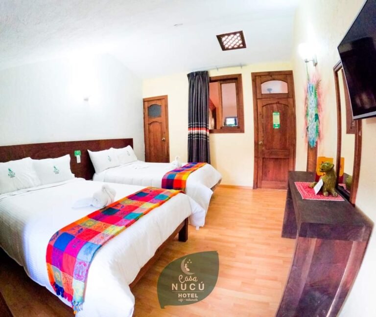 WhatsApp Image 2026-01-26 at 3.17.32 p.m.