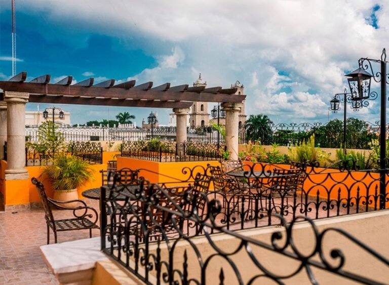 WhatsApp Image 2026-01-26 at 3.20.22 p.m.