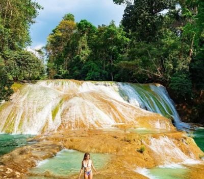 299660629_2300701366765919_6640426454657792042_n (1)