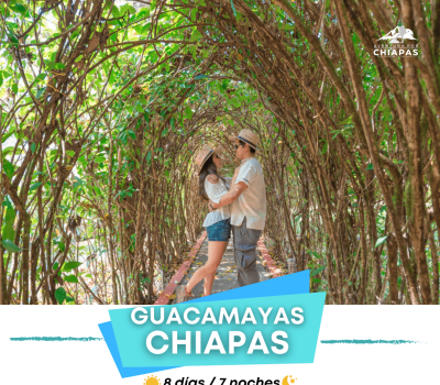 GUACAMAYAS CHIAPAS-min (1)