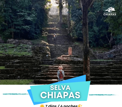 SELVA CHIAPAS-min