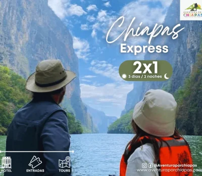 express-2-min.png